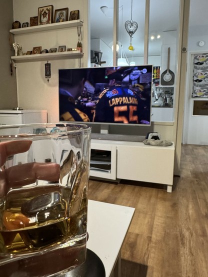 Viskilasi ja taustalla televisio.